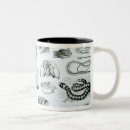 Recherche de reptiles tasses Serpent