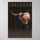 Search for longhorn posters Bulls