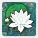 Search for white water lily stickers Flower