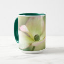 Recherche de fleur de cornouiller tasses Botanique