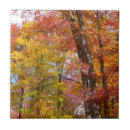 Search for orange tree tiles Fall