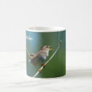Search for marsh mugs Wildlife