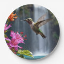 Search for hummingbird paper plates Flying