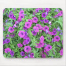 Search for petunia electronics Green