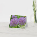 Search for purple birthday cards Garden