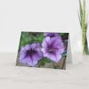 Search for secret pal cards Floral