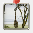 Search for kenya ornaments Outdoors