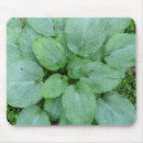 Search for dew standard mousepads Raindrops
