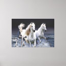 Search for beautiful white horse canvas prints Animals