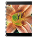 Search for daylily Yellow