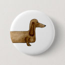 Search for dachshund buttons Funny