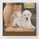 Recherche de kitsch Humour