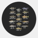 Search for deep sea fishing stickers Vintage