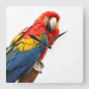 Search for bird scarlet macaw parrot art Blue