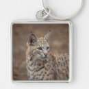 Search for bobcat keychains Animal