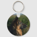 Search for alsatian keychains Canine
