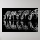 Search for plain posters Africa