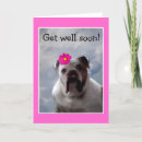 Search for bulldog get well cards Humour