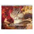 Search for squirrel calendars Pet