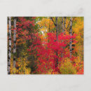 Search for thanksgiving postcards Fall