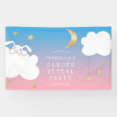 Search for twinkle twinkle little star banners Gender reveal