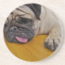 Recherche de carlins dessous de verres Chien de carlin