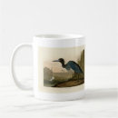 Search for egretta Egretta caerulea
