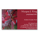 Search for seed business cards Nature