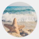 Search for round starfish stickers Marine life