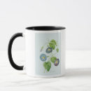 Search for glories mugs Botanical