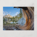 Recherche de ansel adams posters Galerie jaynes