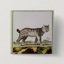 Recherche de lynx badges Félin