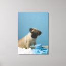 Search for pug dogs canvas prints Vertical