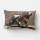 Recherche de rats coussins Rongeur