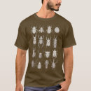 Search for coleoptera Cute