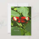 Recherche de de papillon verticales correspondances cartes Botanique