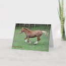 Search for cob cards Pony