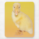 Recherche de canard jaune tapis souris Mignon