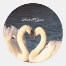 Search for elegant swan wedding stickers Swans