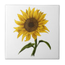 Recherche de sunflower carreaux Soleil
