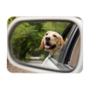 Search for dog car magnets Animal