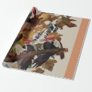 Search for america wrapping paper John james audubon
