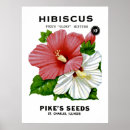 Search for vintage seed packets posters Garden