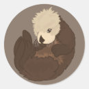 Search for sea otter stickers Adorable