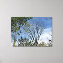Search for sunny sky art Fall