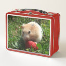 Search for hammie Strawberry