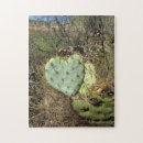 Search for cactus puzzles Green