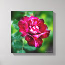 Recherche de toile de tigre Fleurs