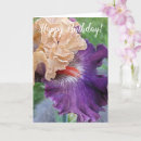 Search for bearded iris cards invites Irises
