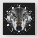 Recherche de nous loup horloges Prédateur